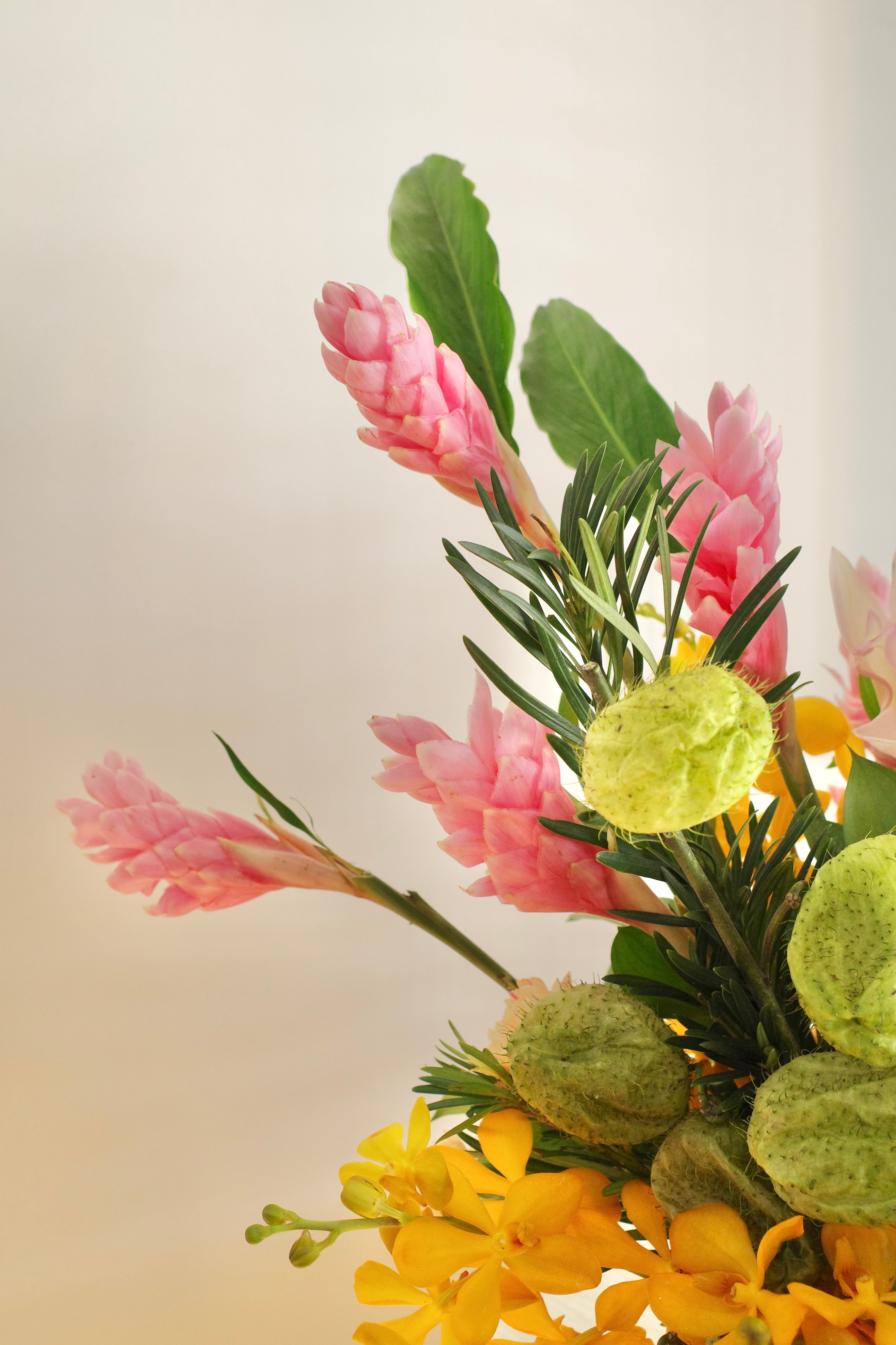 Jolly | Fresh Centrepiece (PO Only, Preorder before 1 Feb)